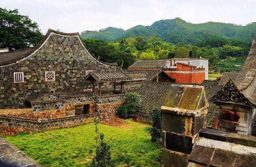 沿途风景：从绝望到更绝望
