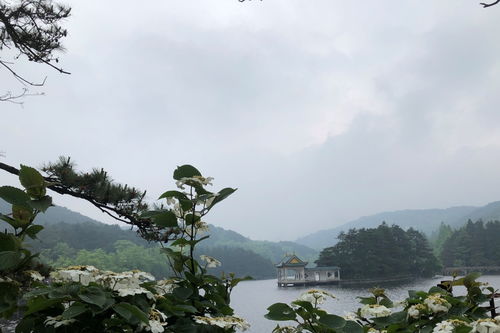 关于九江的碎碎念