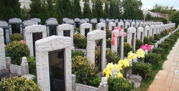 墓地用什么颜色的石材,墓地选什么样的