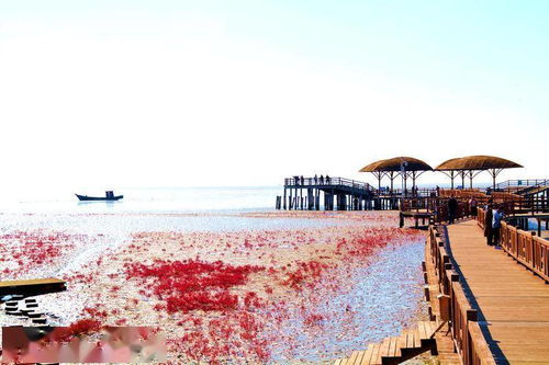 不靠谱攻略：怎么在这破地方玩出花