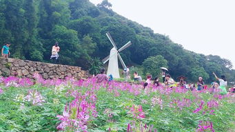 南阳二龙山门票双倍体验价到底是个啥玩意儿？