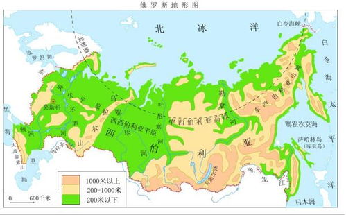 “1+N”模式：一个主干更多分支