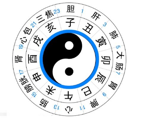 丑时：梦里啥都有