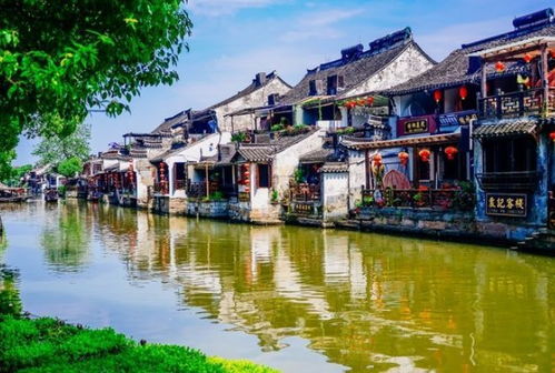 晨曦中的安吉灵溪：一场与自然的邂逅