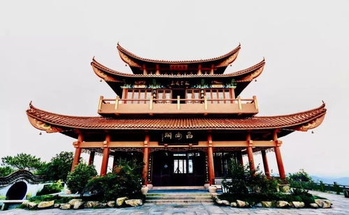 黄酒奶茶与厕所惊魂