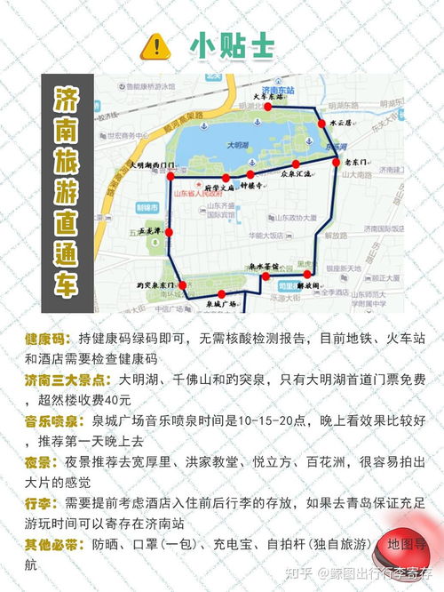 莒县奇遇记：一场痛并快乐着的荒诞之旅