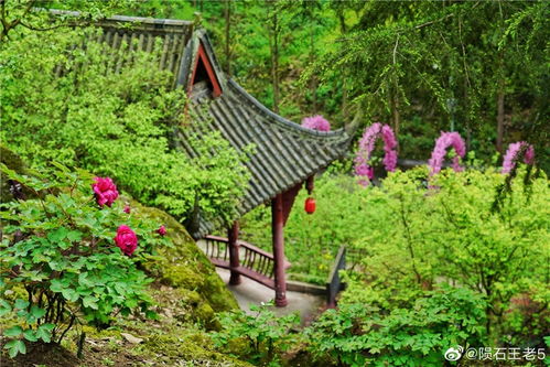 苏园：摘草莓摘到手软的快乐农场！