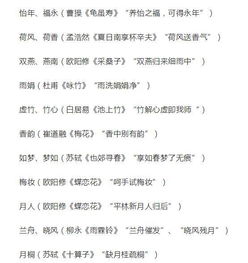 最新流行趋势：什么样的名子最受欢迎？