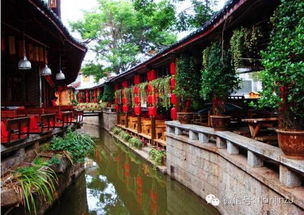 2023年云南丽江亲子游，古城区有哪些亲子体验之旅值得一去？