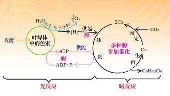 购物天堂风水作用,购物天堂风水作用