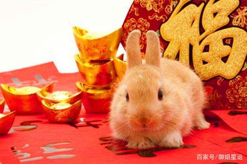 鼠鼠们的存钱大法