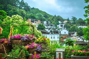 2.3 住宿推荐 (睡个好觉!)