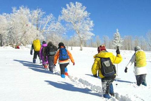 2）推荐路线——从哈尔滨到雪乡， 一路都是白色浪漫