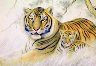 属虎的本命年如何应对小人，佩戴什么物品有何寓意？