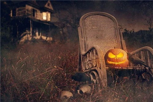 生肖与鬼屋的奥秘