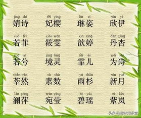 十二月令花与花神的启发