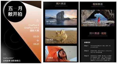 一站式服务：省心or闹心？