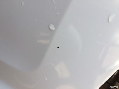 天花板油漆脱落,天花板油漆开裂怎么处理