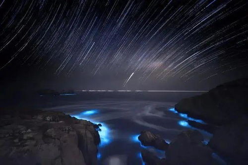 恐惧如藤蔓般滋长