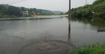 东营港：新鲜手的天堂……真的吗？ 老手的噩梦