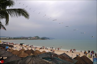 第四天：较大东海海鲜盛宴（与垃圾桶共舞）