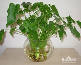 风水？我看是疯水！