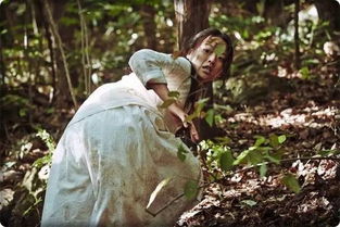 星座与生肖的影响