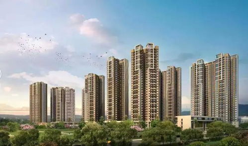 容县碧桂园多少钱一平方,容县碧桂园风水怎样