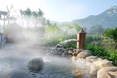 三、 泡汤体验：从入门到满血复活