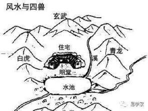 到底是哪四个家伙？