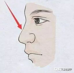 震惊！男人鼻子中间那块肉竟然藏着这么多秘密！