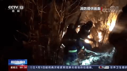 星座与山林的关联？ (纯粹瞎编)