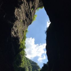 行业黑幕！触目惊心！