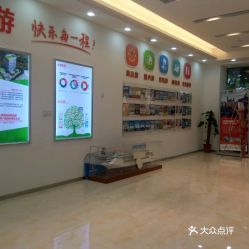 二、  专业团队：凤凰展翅，翱翔天际