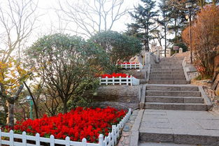 金花植物园：四季皆宜的胜境