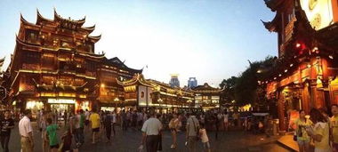 逢简水乡：蒲公英与水幕（有点晕）
