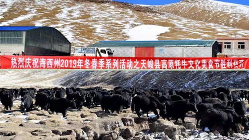 关于交通：建议直接放弃治疗