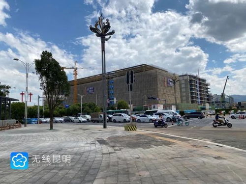 情感色彩：记忆中的金色时光