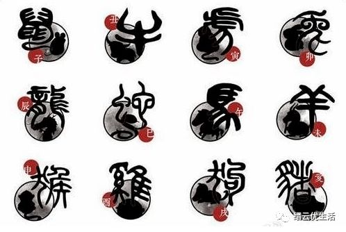 将风流千古打一生肖，是哪个生肖？