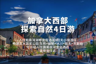 1. 这也能叫