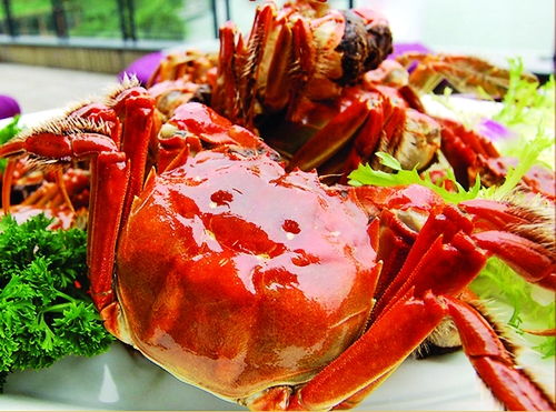 救命！2026年买蟹防坑指南