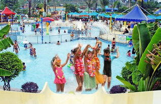 即墨水上乐园：一个让你湿到怀疑人生的地方