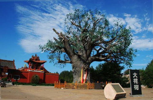 1. 红虫泥土与奇怪仪式