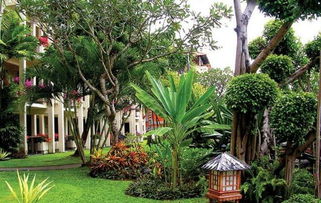 家里面不Neng栽什么树,家中不Neng种什么树