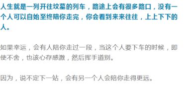 人生态度，实际价值写照？ 别闹了这啥玩意儿？