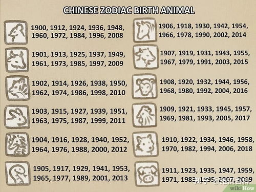 如何通过八字判断属相？