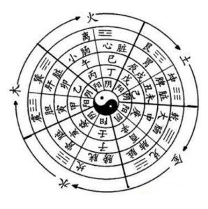 1999年出生的女性和1992年出生的人分别属什么五行命格？
