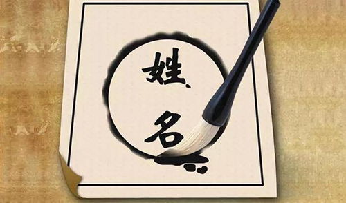 你以为取名就是拼字典？错了！这是一场关于灵魂的战役！
