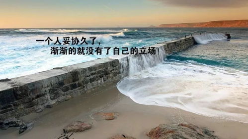 第四站：霞浦——原始之美等你探索（但别忘了带防蚊喷雾）