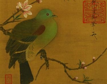 年轻人养鸟是不是代表缺乏上进心，为何现代年轻人对养鸟情有独钟？